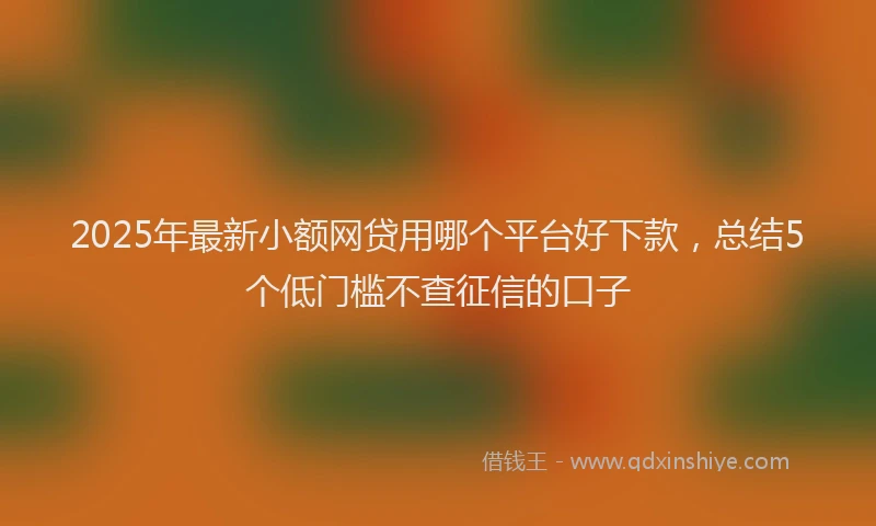 2025年最新小额网贷用哪个平台好下款，总结5个低门槛不查征信的口子