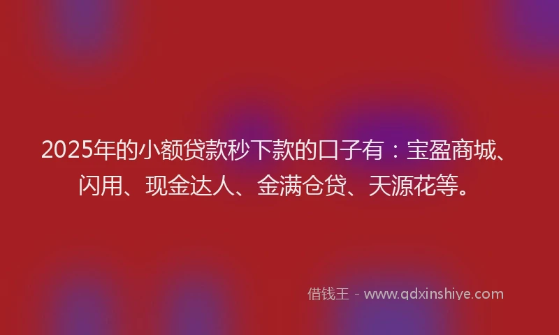 2025年的小额贷款秒下款的口子有：宝盈商城、闪用、现金达人、金满仓贷、天源花等。