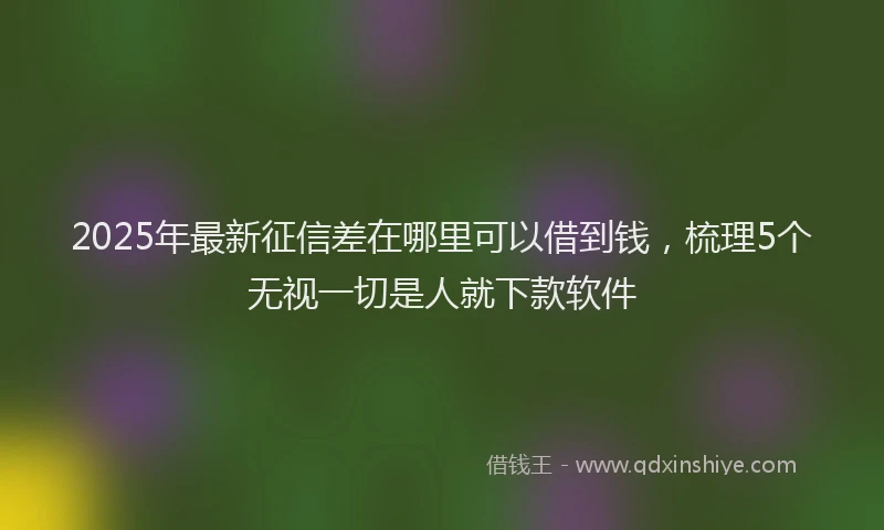 2025年最新征信差在哪里可以借到钱，梳理5个无视一切是人就下款软件