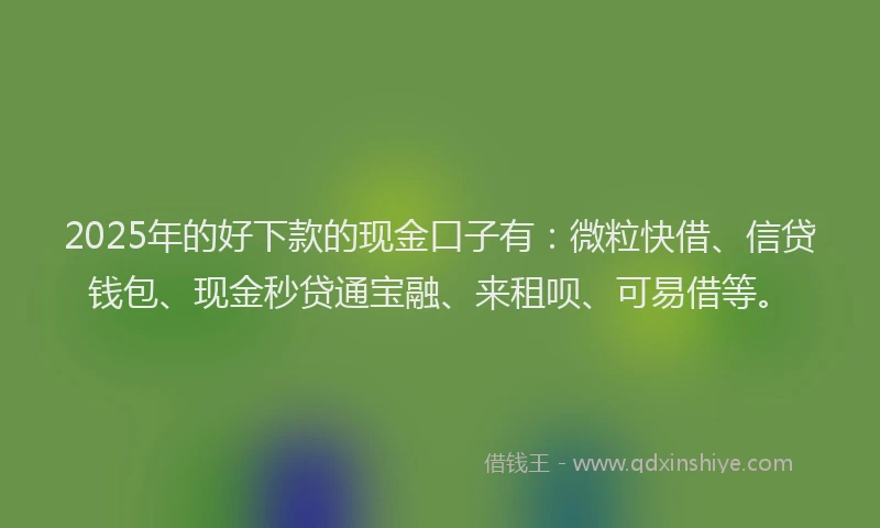 2025年的好下款的现金口子有：微粒快借、信贷钱包、现金秒贷通宝融、来租呗、可易借等。