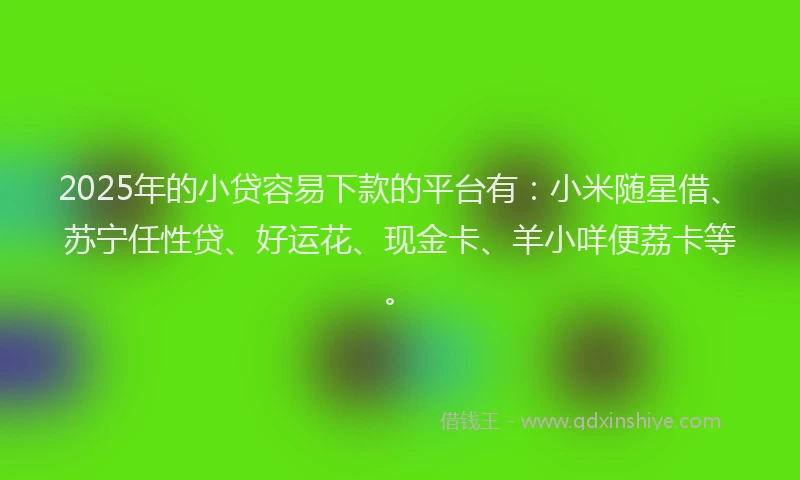 2025年的小贷容易下款的平台有：小米随星借、苏宁任性贷、好运花、现金卡、羊小咩便荔卡等。