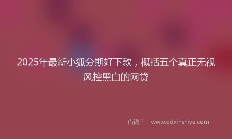 2025年最新小狐分期好下款，概括五个真正无视风控黑白的网贷