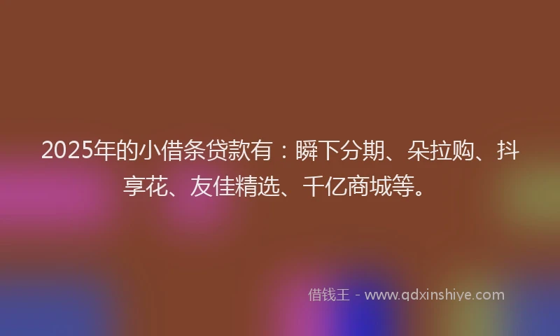 2025年的小借条贷款有：瞬下分期、朵拉购、抖享花、友佳精选、千亿商城等。
