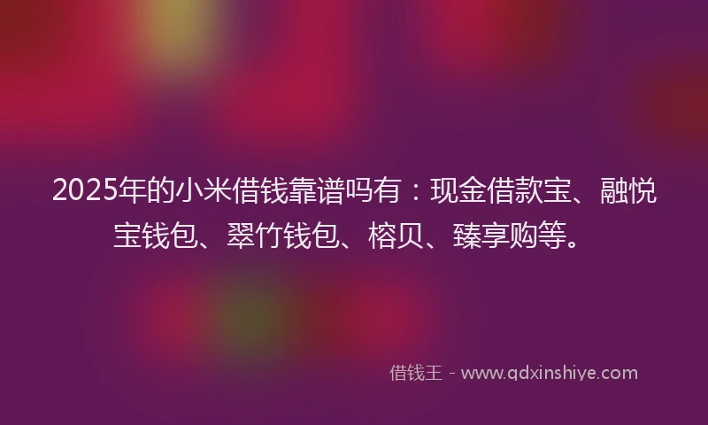 2025年的小米借钱靠谱吗有：现金借款宝、融悦宝钱包、翠竹钱包、榕贝、臻享购等。