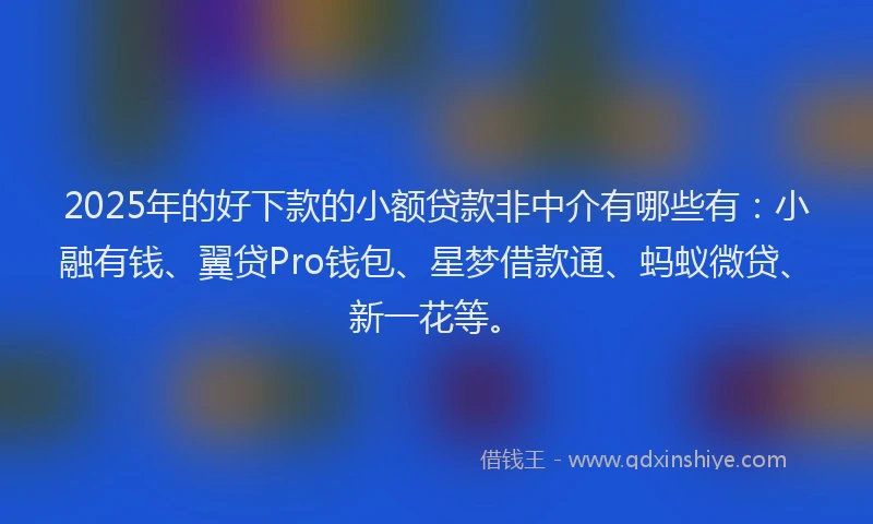 2025年的好下款的小额贷款非中介有哪些有：小融有钱、翼贷Pro钱包、星梦借款通、蚂蚁微贷、新一花等。