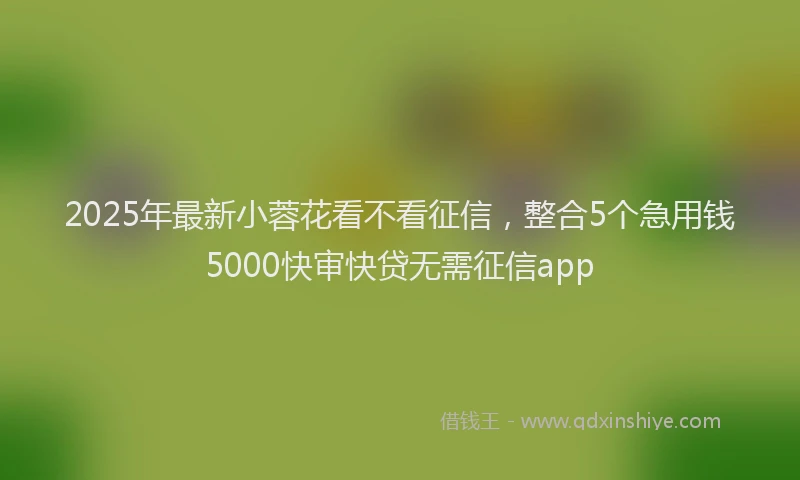 2025年最新小蓉花看不看征信，整合5个急用钱5000快审快贷无需征信app