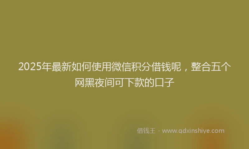 2025年最新如何使用微信积分借钱呢，整合五个网黑夜间可下款的口子