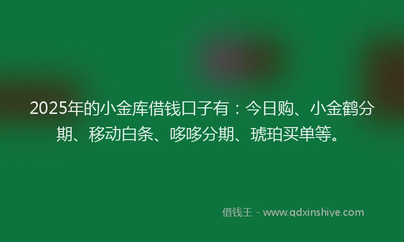 2025年的小金库借钱口子有：今日购、小金鹤分期、移动白条、哆哆分期、琥珀买单等。