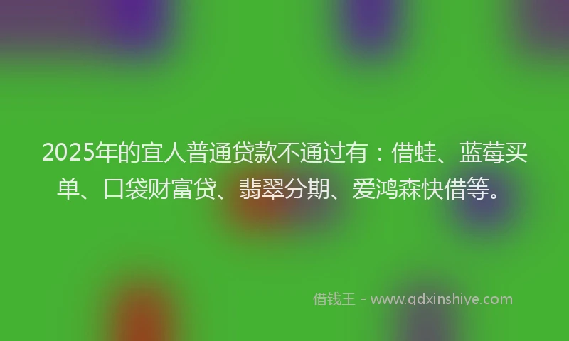 2025年的宜人普通贷款不通过有：借蛙、蓝莓买单、口袋财富贷、翡翠分期、爱鸿森快借等。