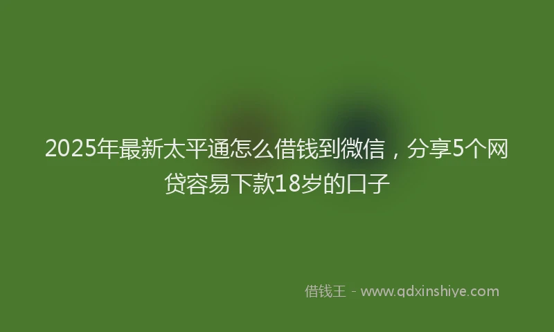 2025年最新太平通怎么借钱到微信，分享5个网贷容易下款18岁的口子