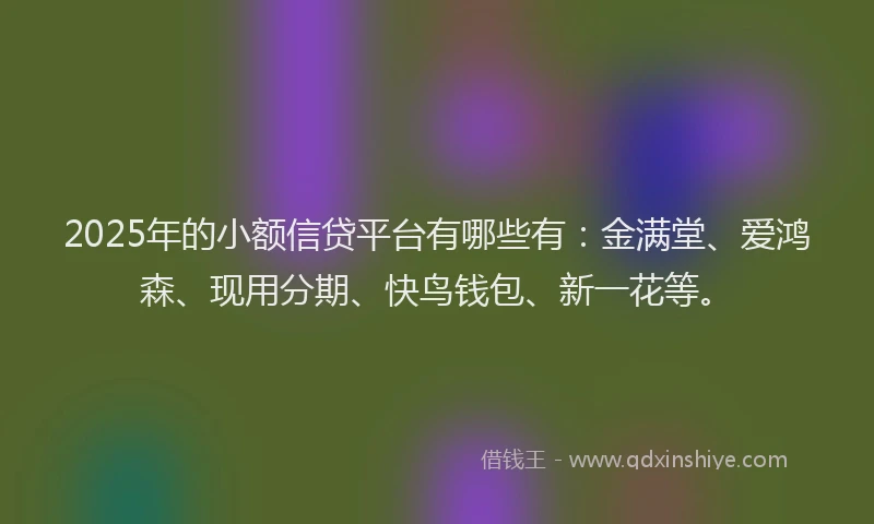 2025年的小额信贷平台有哪些有：金满堂、爱鸿森、现用分期、快鸟钱包、新一花等。