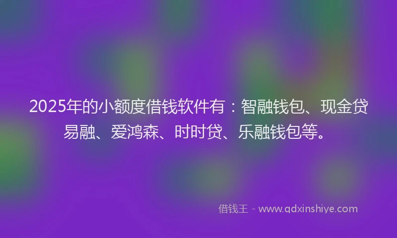 2025年的小额度借钱软件有：智融钱包、现金贷易融、爱鸿森、时时贷、乐融钱包等。