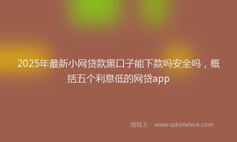 2025年最新小网贷款黑口子能下款吗安全吗，概括五个利息低的网贷app
