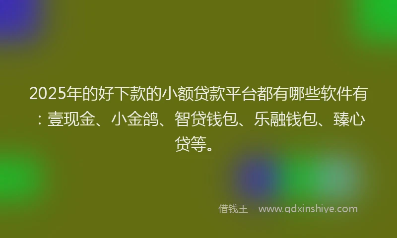 2025年的好下款的小额贷款平台都有哪些软件有：壹现金、小金鸽、智贷钱包、乐融钱包、臻心贷等。