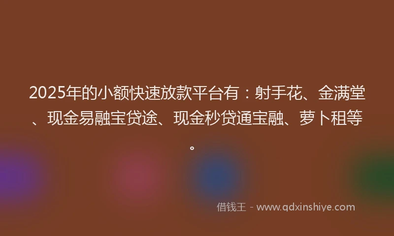 2025年的小额快速放款平台有：射手花、金满堂、现金易融宝贷途、现金秒贷通宝融、萝卜租等。