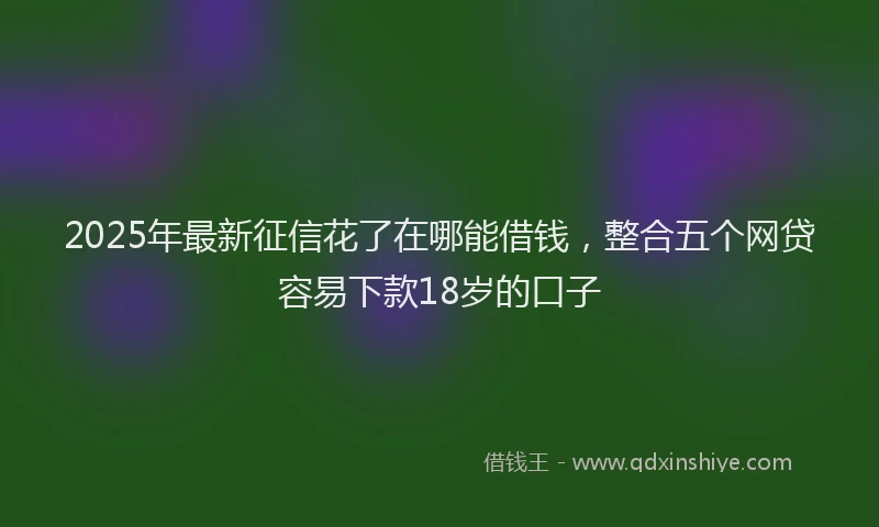 2025年最新征信花了在哪能借钱，整合五个网贷容易下款18岁的口子