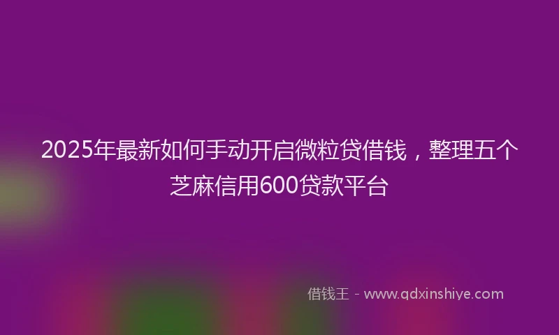 2025年最新如何手动开启微粒贷借钱，整理五个芝麻信用600贷款平台