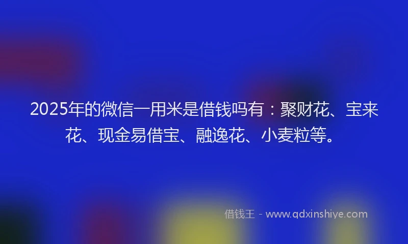 2025年的微信一用米是借钱吗有：聚财花、宝来花、现金易借宝、融逸花、小麦粒等。
