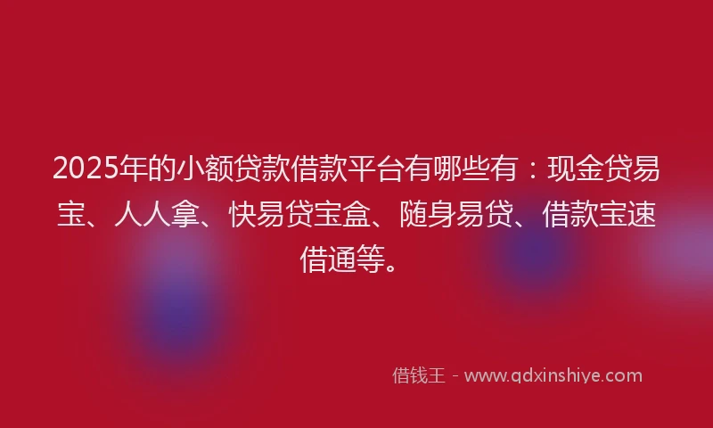 2025年的小额贷款借款平台有哪些有：现金贷易宝、人人拿、快易贷宝盒、随身易贷、借款宝速借通等。