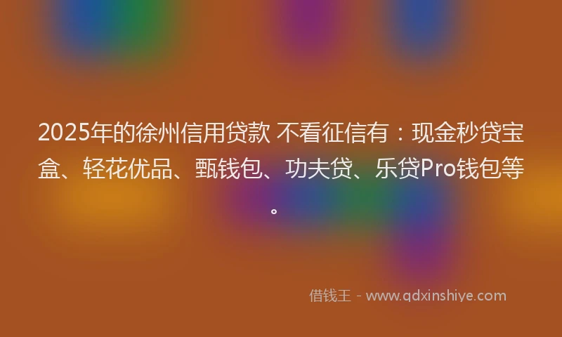 2025年的徐州信用贷款 不看征信有：现金秒贷宝盒、轻花优品、甄钱包、功夫贷、乐贷Pro钱包等。