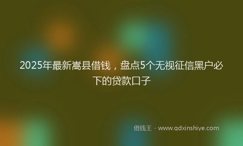 2025年最新嵩县借钱，盘点5个无视征信黑户必下的贷款口子