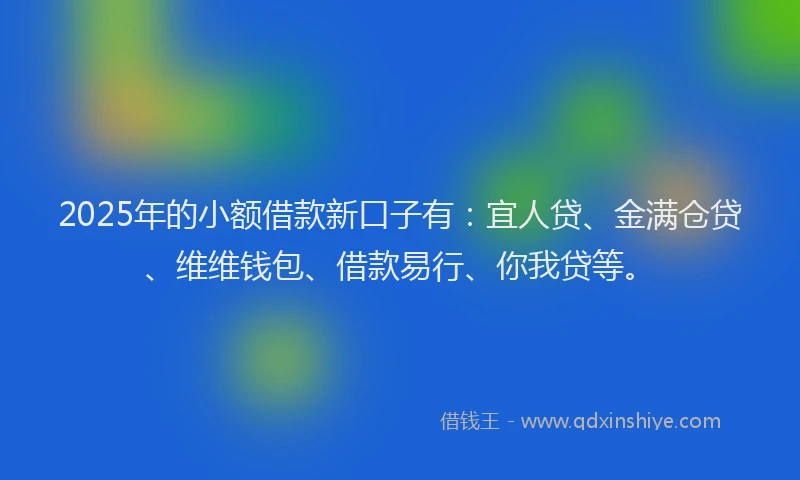 2025年的小额借款新口子有：宜人贷、金满仓贷、维维钱包、借款易行、你我贷等。