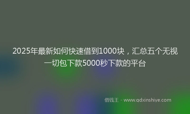 2025年最新如何快速借到1000块，汇总五个无视一切包下款5000秒下款的平台