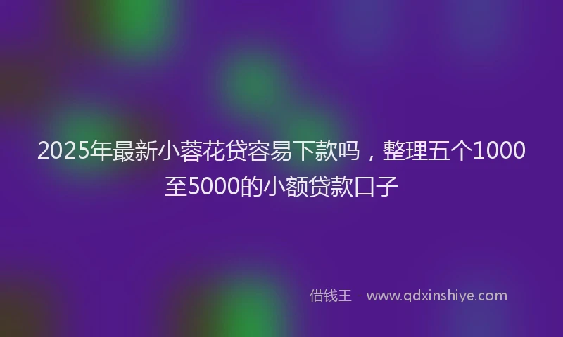 2025年最新小蓉花贷容易下款吗，整理五个1000至5000的小额贷款口子
