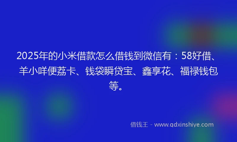 2025年的小米借款怎么借钱到微信有：58好借、羊小咩便荔卡、钱袋瞬贷宝、鑫享花、福禄钱包等。