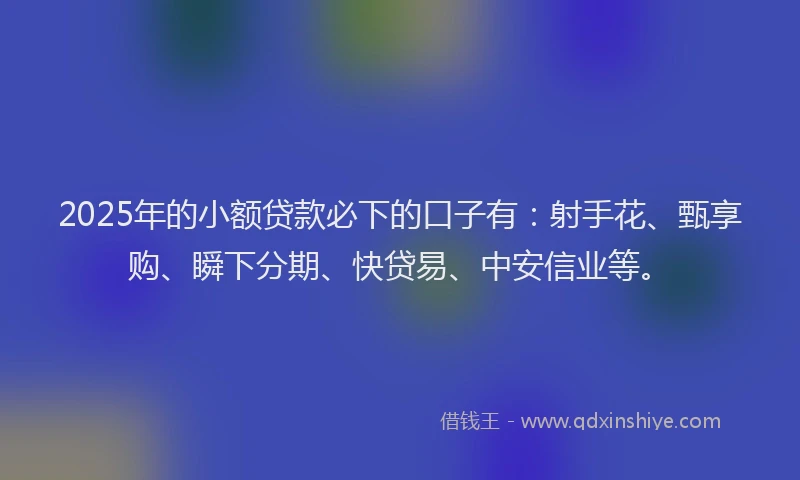 2025年的小额贷款必下的口子有：射手花、甄享购、瞬下分期、快贷易、中安信业等。