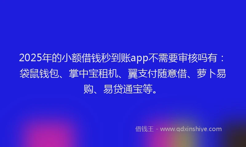 2025年的小额借钱秒到账app不需要审核吗有：袋鼠钱包、掌中宝租机、翼支付随意借、萝卜易购、易贷通宝等。