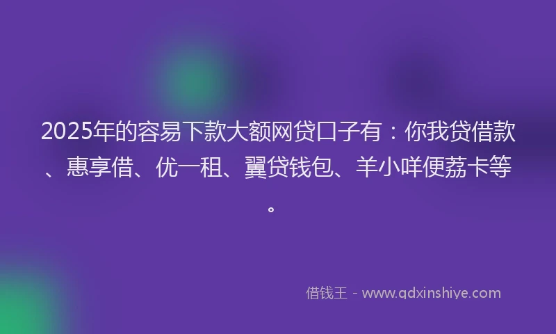 2025年的容易下款大额网贷口子有：你我贷借款、惠享借、优一租、翼贷钱包、羊小咩便荔卡等。