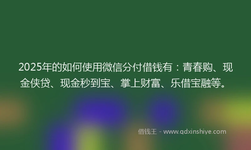 2025年的如何使用微信分付借钱有：青春购、现金侠贷、现金秒到宝、掌上财富、乐借宝融等。