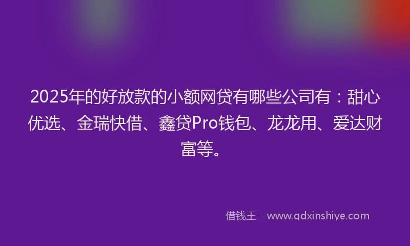 2025年的好放款的小额网贷有哪些公司有：甜心优选、金瑞快借、鑫贷Pro钱包、龙龙用、爱达财富等。