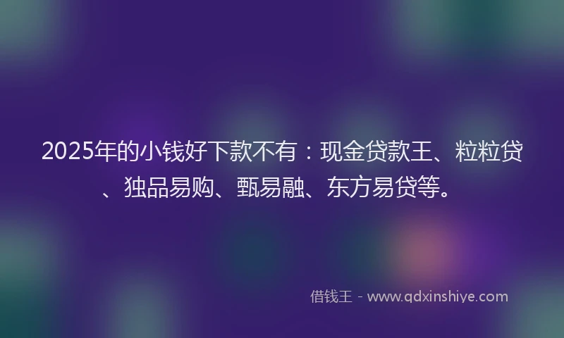 2025年的小钱好下款不有：现金贷款王、粒粒贷、独品易购、甄易融、东方易贷等。