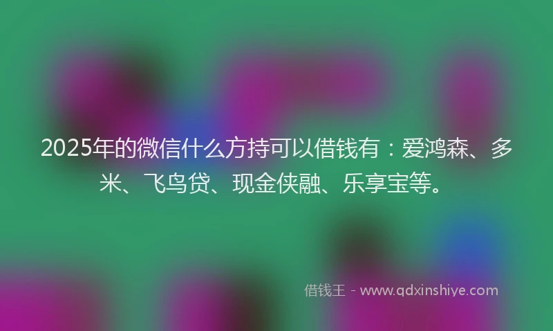 2025年的微信什么方持可以借钱有：爱鸿森、多米、飞鸟贷、现金侠融、乐享宝等。
