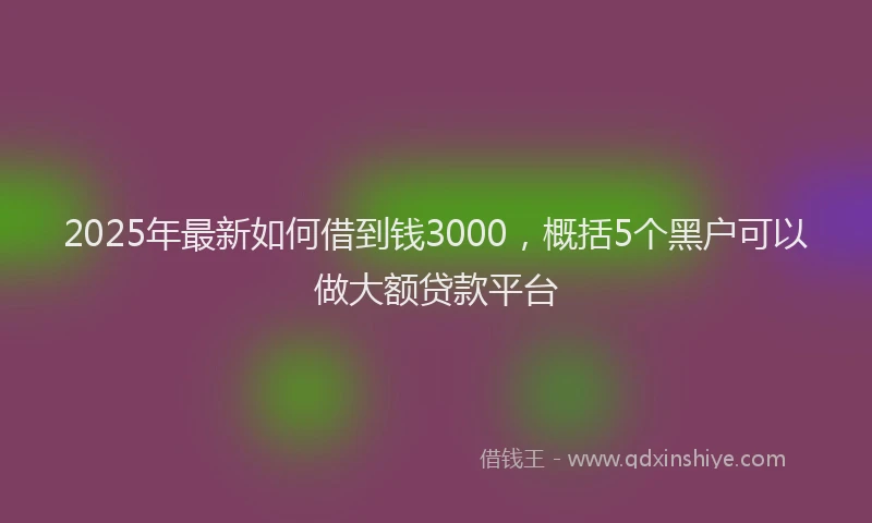 2025年最新如何借到钱3000，概括5个黑户可以做大额贷款平台
