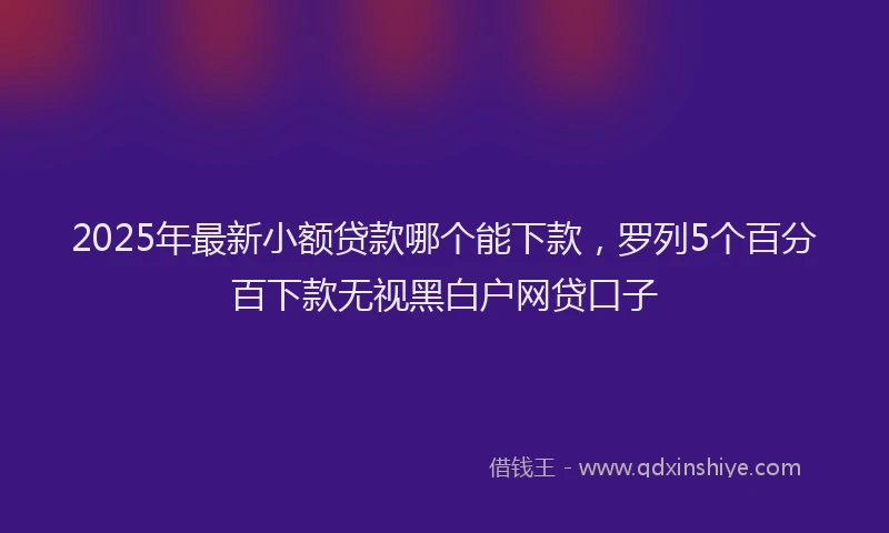 2025年最新小额贷款哪个能下款，罗列5个百分百下款无视黑白户网贷口子