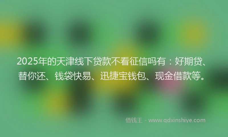 2025年的天津线下贷款不看征信吗有：好期贷、替你还、钱袋快易、迅捷宝钱包、现金借款等。