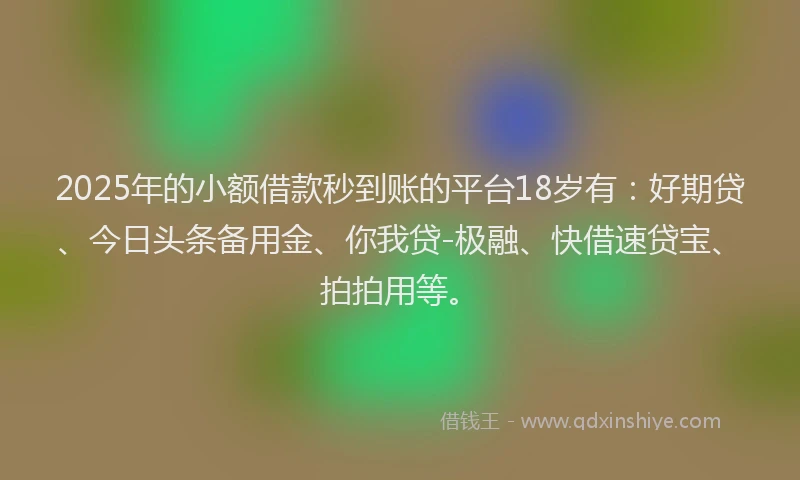 2025年的小额借款秒到账的平台18岁有：好期贷、今日头条备用金、你我贷-极融、快借速贷宝、拍拍用等。