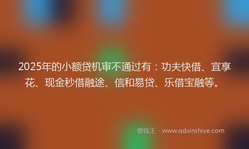 2025年的小额贷机审不通过有：功夫快借、宜享花、现金秒借融途、信和易贷、乐借宝融等。
