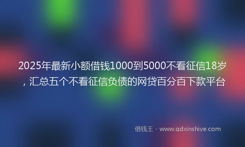 2025年最新小额借钱1000到5000不看征信18岁，汇总五个不看征信负债的网贷百分百下款平台