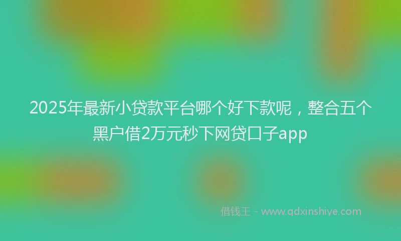 2025年最新小贷款平台哪个好下款呢，整合五个黑户借2万元秒下网贷口子app