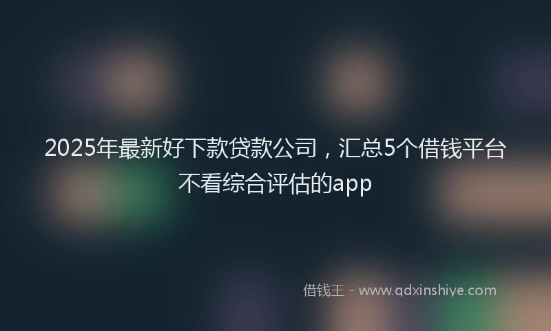 2025年最新好下款贷款公司，汇总5个借钱平台不看综合评估的app