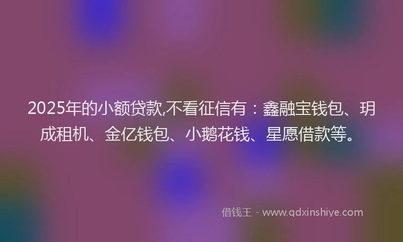 2025年的小额贷款,不看征信有：鑫融宝钱包、玥成租机、金亿钱包、小鹅花钱、星愿借款等。