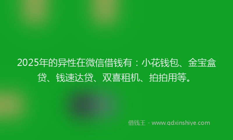 2025年的异性在微信借钱有：小花钱包、金宝盒贷、钱速达贷、双喜租机、拍拍用等。
