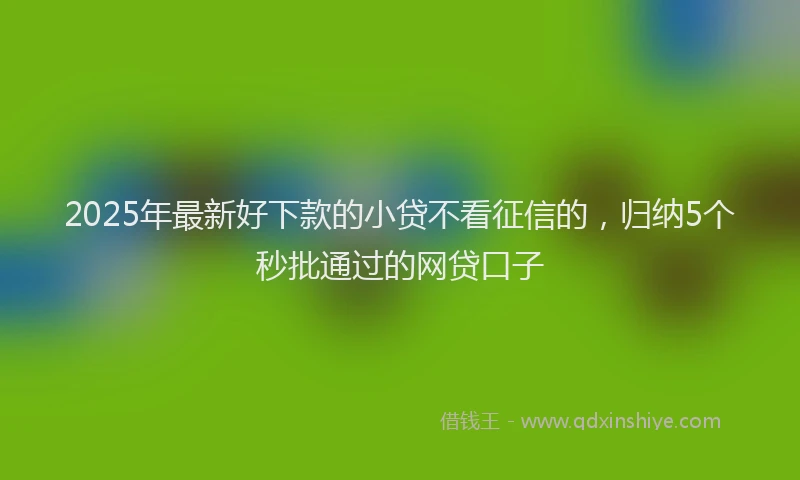 2025年最新好下款的小贷不看征信的，归纳5个秒批通过的网贷口子