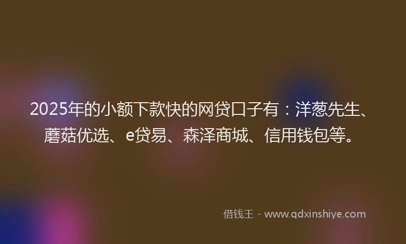 2025年的小额下款快的网贷口子有：洋葱先生、蘑菇优选、e贷易、森泽商城、信用钱包等。