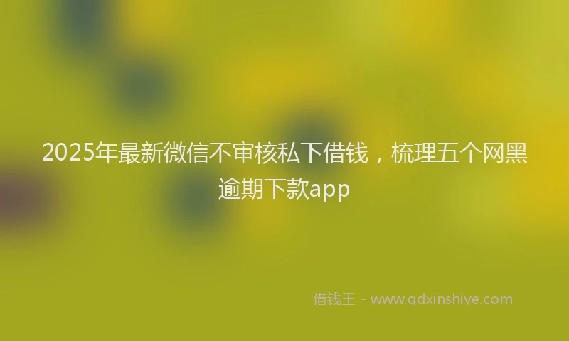 2025年最新微信不审核私下借钱，梳理五个网黑逾期下款app
