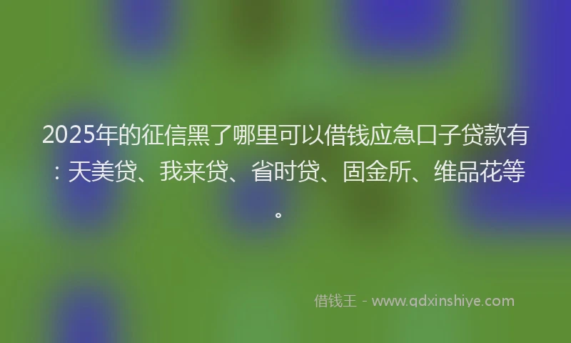 2025年的征信黑了哪里可以借钱应急口子贷款有：天美贷、我来贷、省时贷、固金所、维品花等。